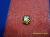 Insigna FC Olt