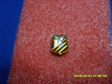 Insigna FC Olt