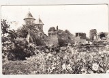 bnk cp Targoviste - Ruine ale Curtii Domnesti - circulata