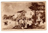 TH AMAN PETRECERE DE 1 MAIU COLECTIA ARTISTICA CARTEA ROMANEASCA