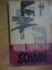D10 Mihail Sadoveanu - Soimii