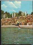 CPI (B9629) CARTE POSTALA - DELFINARIU DIN CONSTANTA. ASPECT DIN SPECTACOL, Circulata, Fotografie