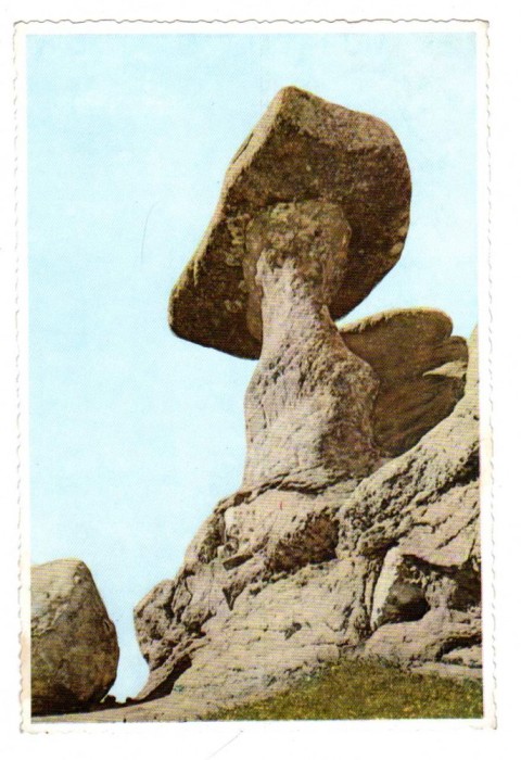 BABELE MUNTII BUCEGI RPR 15X10 CM MARGINE DANTELATA
