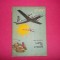 Sorin Nicolescu/ Cartea cu avioane (sa stim)