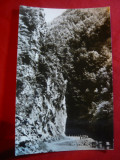 Ilustrata Valea Lotaritei ,judet Valcea , anii &#039;60, Necirculata, Fotografie