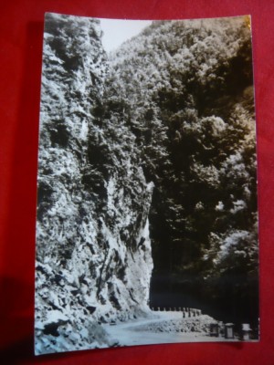 Ilustrata Valea Lotaritei ,judet Valcea , anii &amp;#039;60 foto