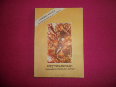 Cresterea Matcilor - Prof. Dr. F. Ruttner (apimondia, 1980) foto