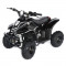 ATV Electric Skutt M3600 36V 600W Black