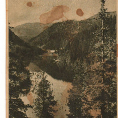 CPI (B9651) CARTE POSTALA - LACUL ROSU (GHILCOS), 1956