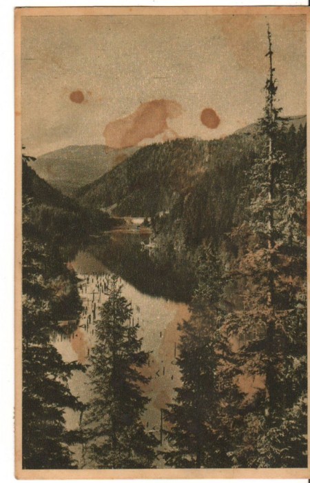 CPI (B9651) CARTE POSTALA - LACUL ROSU (GHILCOS), 1956