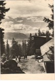 CPI (B9658 ) CARTE POSTALA - CABANA POSTAVARUL. VEDERE SPRE PIATRA CRAIULUI, RPR, Circulata, Fotografie