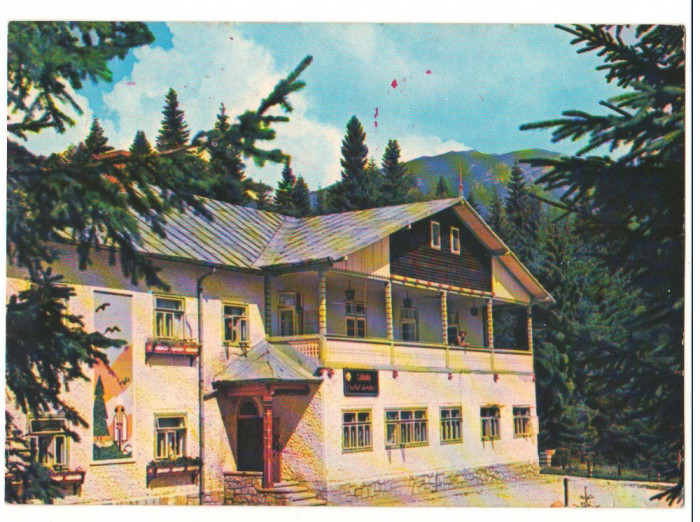 CPI (B9665) CARTE POSTALA - SINAIA. CABANA &quot;CUIBUL DORULUI&quot;