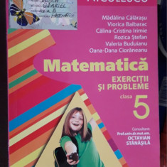 MATEMATICA EXERCITII SI PROBLEME CLASA A V A BUDUIANU , CALARASU ,IRIMIE