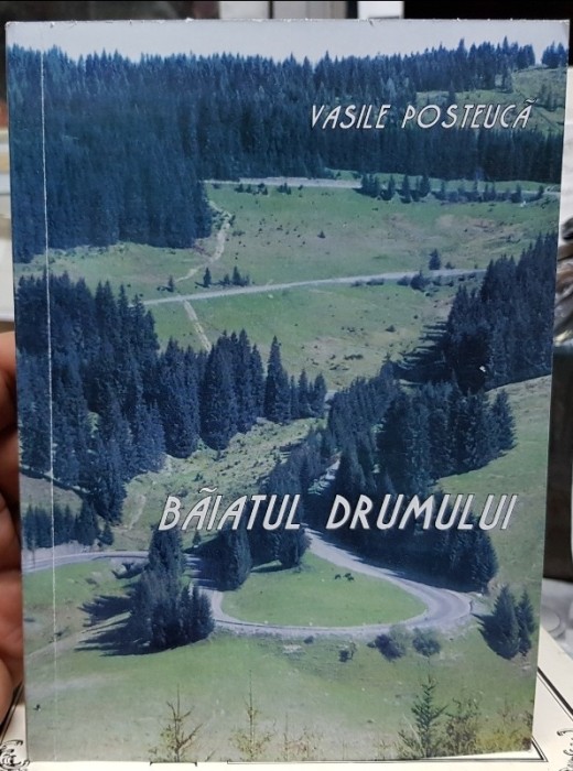 VASILE POSTEUCA BAIATUL DRUMULUI 2000 ROMAN AUTOBIOGRAFIC MIȘCAREA LEGIONARĂ 512