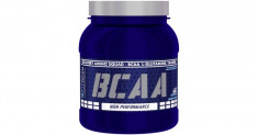 Fit Whey BCAA 500gr foto