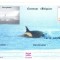 CP Z1203 -CENTENAR ,,BELGICA&quot; - INTRE GHETURI -NECIRCULATA