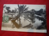 Ilustrata TCV - Gabes - Vedere a Uedului 1914 Tunisia