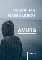 Amurg - Valeriu Ion Gagiulescu foto