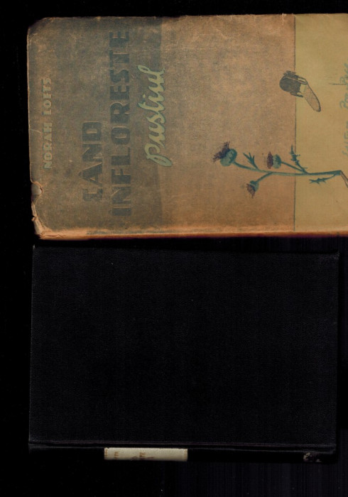 Cand infloreste pustiul - Norah Lofts, veche 1945, vol 1-2 / ambele volume!