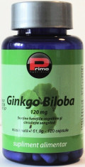 Ginkgo Biloba extract 120mg/cap, 120cap, circulatie, antioxidant,antiimbatranire foto