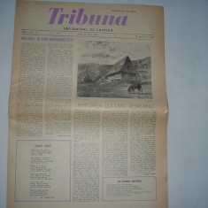 Revista Tribuna 16 iunie 1957