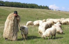 cojoc cioban suba lana de oaie stana tohoarca mitoasa bitusa foto