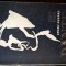 Studii despre Dante (Editura pentru Literatura Universala, 1965)