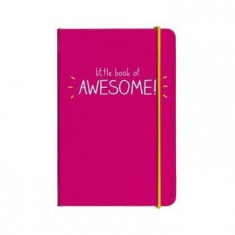 Blocnotes A6 Happy Jackson Little Book of Awesome; foto