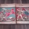 HOMER-ILIADA VOL 1+2 COLECTIA LYCEUM 1973