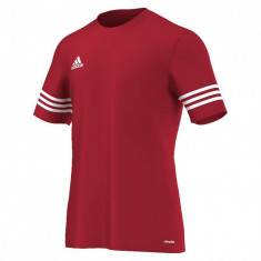 Tricou adidas Entrada 14- f50485 foto