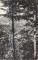 Foto  - 1