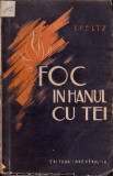 Foc &icirc;n hanul cu tei
