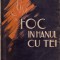 Foc &icirc;n hanul cu tei