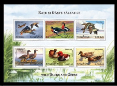 Rate si gaste salbatice, 2007, bloc de 6 timbre, nr. lista 1771e foto