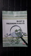 Buget Si Trezorerie Publica - GABRIEL NASTASE foto