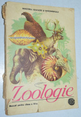 Manual pentru clasa a VI-a Zoologie - 1987 foto