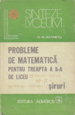 D. M. BATINETU - PROBLEME DE MATEMATICA PENTRU LICEU SIRURI foto