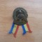 Insigna Avram Iancu