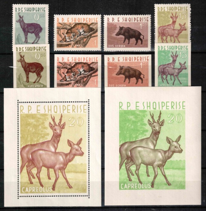 Albania 1962, Mi#699-707 + Bl 15-16, dant + ned, fauna, animale, MNH, cota Michel 515 &euro;