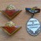 lot Insigne fruntas