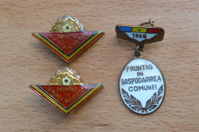 lot Insigne fruntas