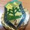AMS* INSIGNA APLINIST MILITAR CLASA II (PURTATA SI DUPA &#039;90) RUPTA STEMA RSR!