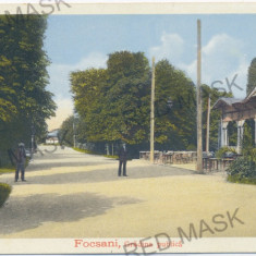 2318 - FOCSANI, Vrancea, Public Garden - old postcard - unused