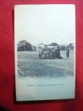 Ilustrata Djibouti- Sat Somali la margine de oras ,inc.sec.XX