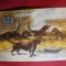 Ilustrata - Caini in adapost , circulat 1909 Constanta