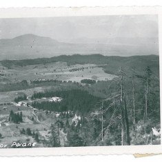 2035 - POIANA BRASOV - old postcard, real PHOTO - used - 1940