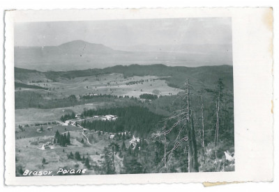 2035 - POIANA BRASOV - old postcard, real PHOTO - used - 1940 foto