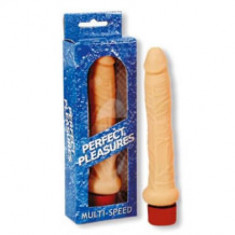 Vibrator anal Perfect Pleasures foto