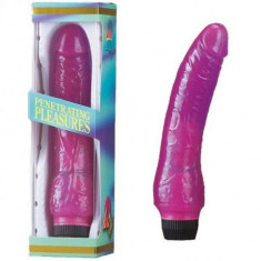 Vibrator Jelly Vibrator Lavender foto