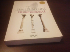 ERNEST BERNEA, TRILOGIE SOCIOLOGICA. EDITURA DACIA 2004 foto